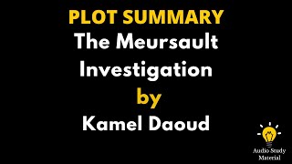 Plot Summary Of The Meursault Investigation By Kamel Daoud  The Meursault Investigation [upl. by Nannoc]