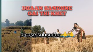 dhaan bandhne gai thi khet vlog video 🥰🥰 Aaj dhaan bandhne gai thi khetSilpaTopno [upl. by Aenea]