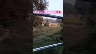 Muskil hai song Vicky Vidya ka wo wala vedio newsong ytshorts love travel lucknowtourism [upl. by Lenoj892]