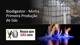 BIODIGESTOR MINHA PRIMEIRA PRODUÇÃO DE GÁS  Biodigestor 🔥 [upl. by Assir83]