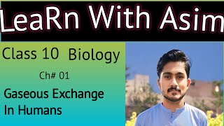 Gaseous exchange in humans  Biology 10th chap1  Exchange of gases in humans [upl. by Sand]