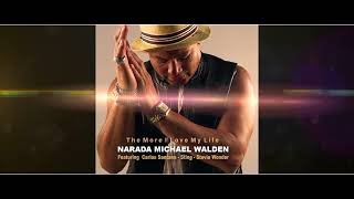 Narada Michael Walden feat Carlos Santana Sting Stevie Wonder quotThe More I Love my Lifequot TEASER [upl. by Gelya]