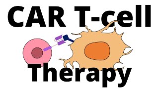 CAR Tcell Therapy explained Manufacturing process amp how it works [upl. by Alvarez354]