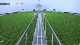 بيوت بلاستيكية متطورة للزراعة Giant dome vegetable farm [upl. by Bibbie]