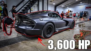 Legendary 3000 HP CALVO VIPERS Gather Under 1 Roof [upl. by Philina213]