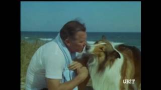 Lassie  Episode  468  quotThe Lonely Onequot– Season 14 Ep 21  241968468 [upl. by Hutson]