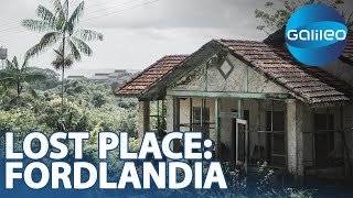 Fordlandia Die aufgegebene Produktionsstadt mitten im Amazonas  Galileo  ProSieben [upl. by Bonn]