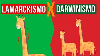 EVOLUÇÃO Lamarckismo e Darwinismo  RESUMO DE BIOLOGIA PARA O ENEM [upl. by Kiele]