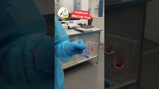 See the magic happen 🌟 Med Lab Tour [upl. by Wiencke]