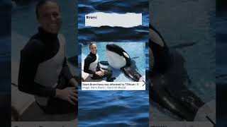 🤯 SHOCKING TRAINER TRAGEDY AT SEA WORLD CAUGHT IN AN ORCAS DEATH GRIP shorts nature [upl. by Ytinirt]