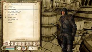 Oblivion Mods DarnifiedUI [upl. by Ailecec]