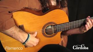 Cordoba Guitars  C5CE Nylon String Guitar [upl. by Jezabelle]