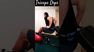 Arm Workout at Home  Triceps Dips triceps tricepsworkout [upl. by Haronid]