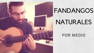 Guitarra FlamencaIniciaciónFANDANGOS NATURALES POR MEDIO [upl. by Anaibaf]