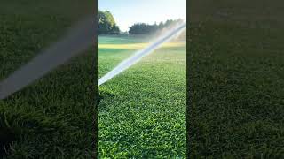 Getting that wetting agent watered in golf golfcourse lawncare fyp foryou ambient [upl. by Hedveh]