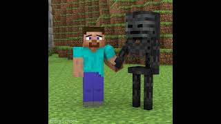 Skeleton Wither rescued Steve when he was being bullied 👍 [upl. by Mort857]