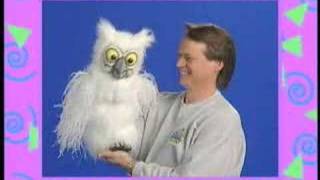 White hoot owl puppet by Axtell [upl. by Maren]