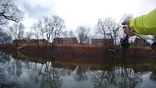 Esopus Creek Fishing  Kingston NY  Pickerel and quotAlmostquot a Perch [upl. by Chemar309]