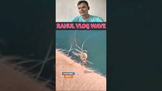 Mosquito Madness LaughOutLoud Meme Reaction Moments shorts funny memes reaction comedy [upl. by Amalle]