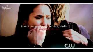 stefan  elena  the best choice i ever made [upl. by Anton]