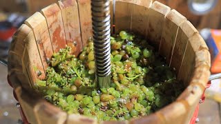 Making a White Wine from Grapes [upl. by Gilges]