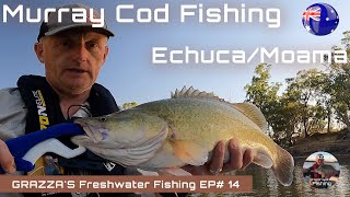 Murray Cod Fishing Echuca Moama Australia Day Weekend 2022  Grazzas Freshwater Fishing EP14 [upl. by Cyprian]