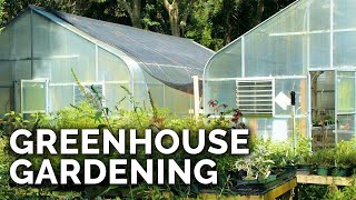 Greenhouses 101 Everything You Need to Know [upl. by Scotti]