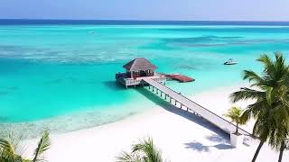 Chill Play Come Alive at Niyama Private Islands Maldives [upl. by Nittirb]