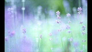 MarcAndre Hamelin plays Ravel  Gaspard de la nuit  Ondine [upl. by Auqenwahs80]