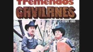 infamia los tremendos gavilanes [upl. by Granese]