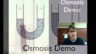 Osmosis Demo [upl. by Suinotna519]