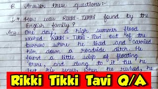 Rikki Tikki Tavi Question Answer Class 7th The Magic Carpet [upl. by Toback]