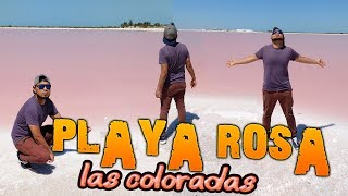 ⚠️Nos Metimos A UNA Propiedad PRIVADA🚫🌴UNA PLAYA DE COLOR ROSA 🏖️  🎒 LAS COLORADAS 🦀 [upl. by Asilahs712]