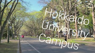 🇯🇵Hokkaido University Campus [upl. by Ronyar292]