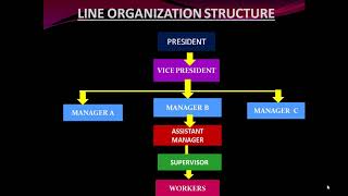 Line And Staff Organization  Line And Staff Organization Structure [upl. by Seaver]