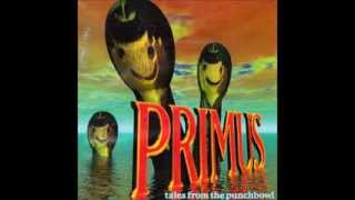 Primus  Wynonas Big Brown Beaver Lyrics in Description [upl. by Mita]