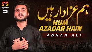 Hum Azadar Hain  Adnan Ali  Nohay  Moharram 20201442  TP Muharram [upl. by Evadnee]