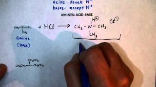 Amine Reactions AcidBase [upl. by Dias]