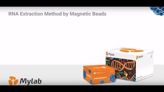 Mylab  Maverick Magnetic Bead Based Nucleic Acid Extraction Kit [upl. by Ydaf]