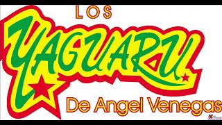 LOS YAGUARU MIX [upl. by Airrej]