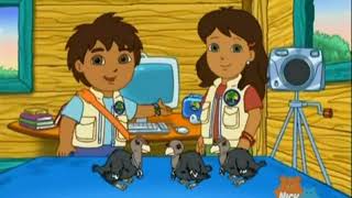 Go Diego Go S01E06 Three Little Condors [upl. by Kori]