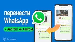 Как перенести WhatsApp с Android на Android 2 способа [upl. by Judus]