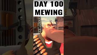 Mewing tf2 animation gmod meme [upl. by Ragucci607]