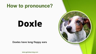 How to pronounce Doxle in English Correctly [upl. by Nnayar]