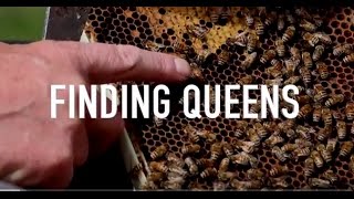 Finding Queens [upl. by Gaither]