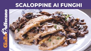 SCALOPPINE AI FUNGHI CREMOSE RICETTA FACILE E VELOCE [upl. by Nilats]