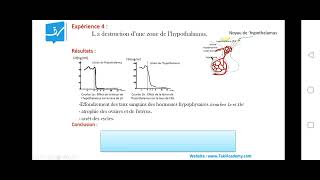 SVT  régulation de cycle séxuelle  EP3  role de lhypothalamuse Bac math et sc [upl. by Ahsemac899]