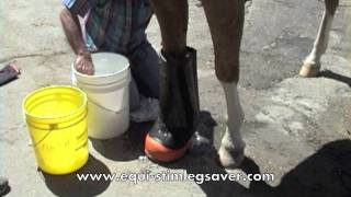 GREATEST HORSE ICING BOOTS VIDEO FOR LAMENESS LEG SAVER ICING THERAPY [upl. by Gebelein839]