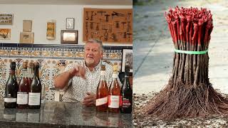 193  ¿Qué es el lambrusco ¿Una uva ¿Un tipo de vino ¿Una DO [upl. by Ellmyer]