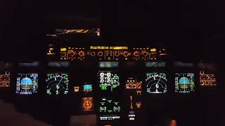 Cockpit View landing at Gothenburg Landvetter AirPort ARN [upl. by Hakilam]